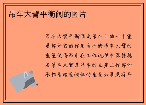 吊车大臂平衡阀的图片